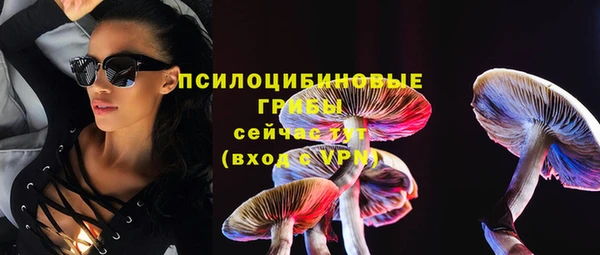 ешки Тобольск