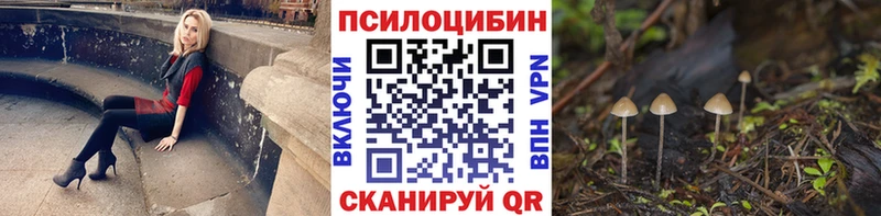 где продают   Радужный  Галлюциногенные грибы Cubensis 